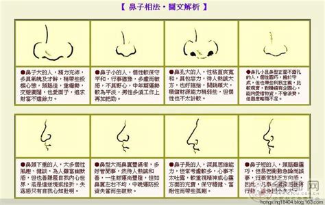 鼻子大面相女|面相入门